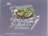 بودجه ریزی در ایران