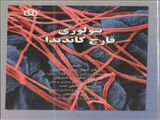  بیولوژی قارچ کاندیدا