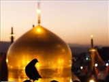 آغاز ثبت‌نام اردوی زیارتی مشهد مقدس دانشگاه شهید مدنی آذربایجان  