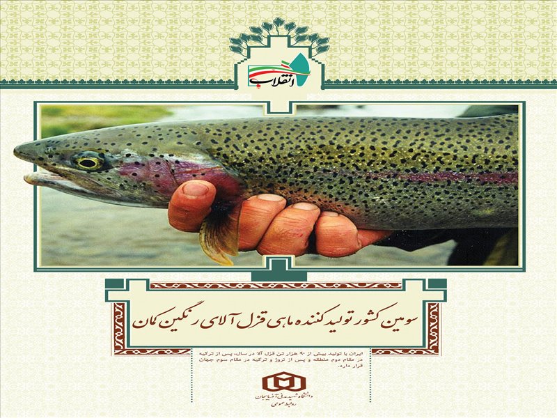 رنبه های جهانی ایران
