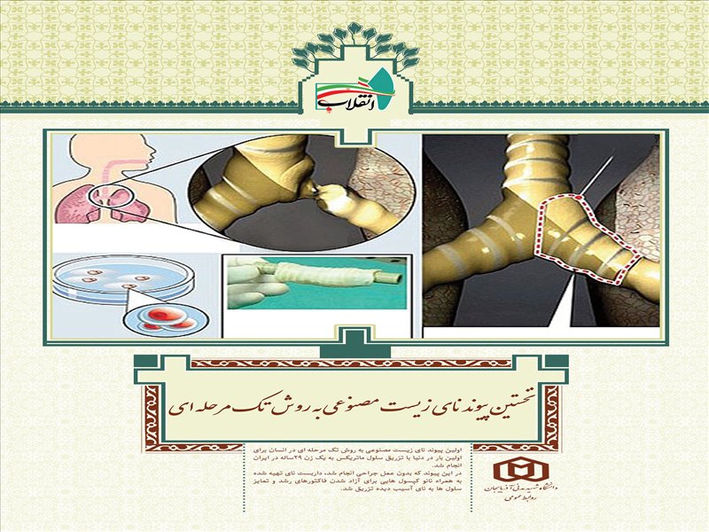 رنبه های جهانی ایران