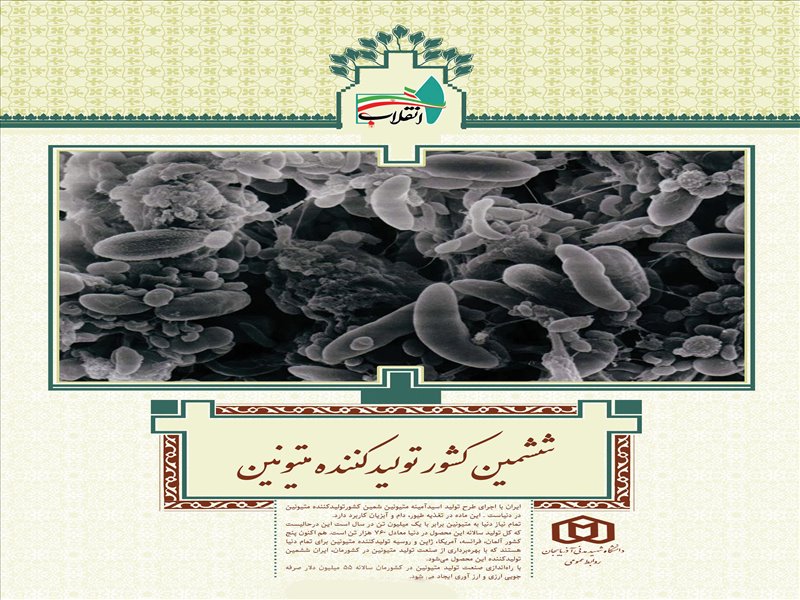 رنبه های جهانی ایران