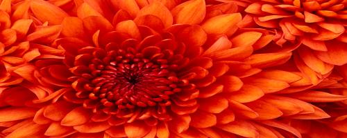 اخبار معمولی 93