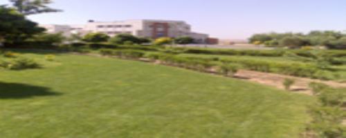 محوطه دانشگاه