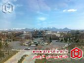 دانشگاه