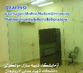  آزمایشگاه شبیه سازی مولکولی