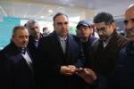 افتتاحیه دوازدهمین نمایشگاه ربع رشیدی 2024