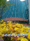معاونت پژوهشی